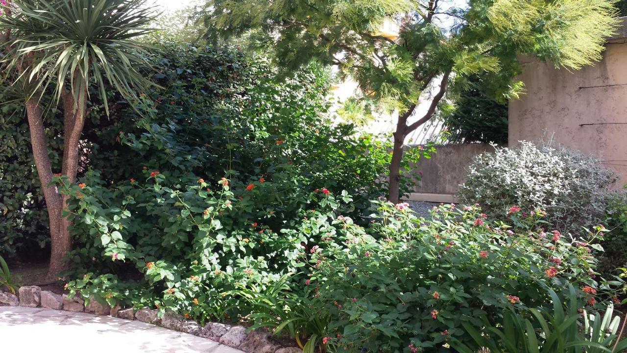 Central Avec Jardin Cannes Exteriör bild